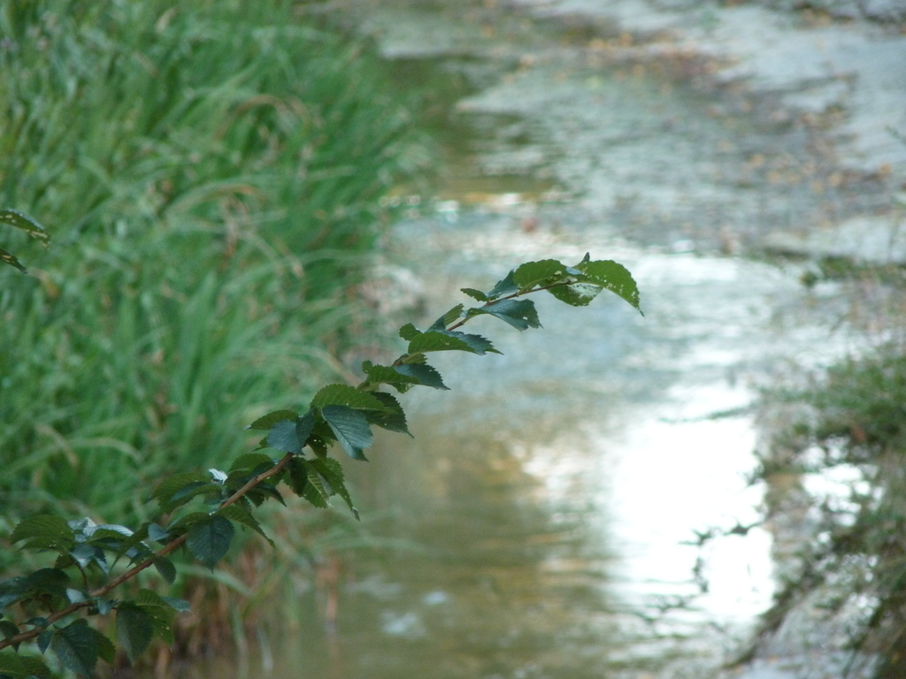No s'ha trobat l'arxiu
